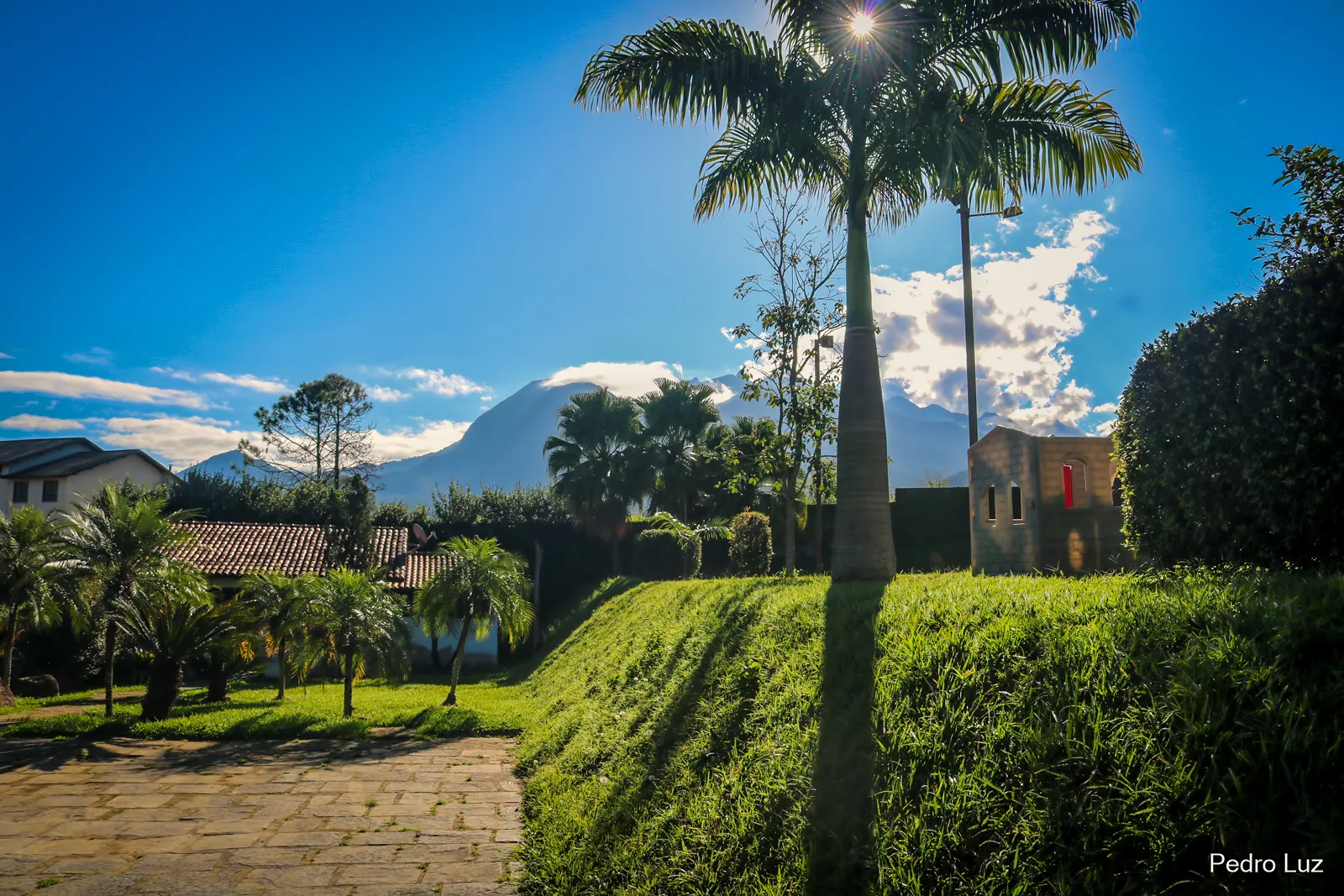 Jardins floridos
